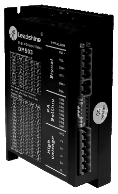 DM503